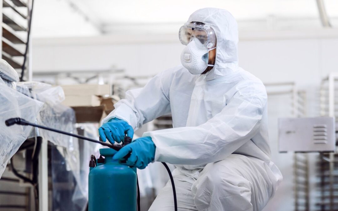 Tipos de plagas comunes en la industria alimentaria