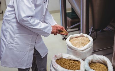 Análisis de calidad de granos: una herramienta clave para la conservación de bienes almacenados