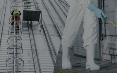 ¿Control de plagas vs. fumigación? Conoce la diferencia.